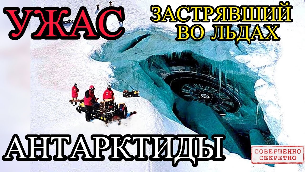 Правда, скрытая подо льдом Антарктиды: что обнаружила команда Кусто?
