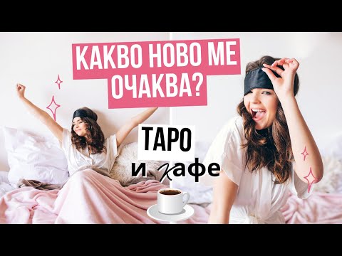 Кафе и Таро