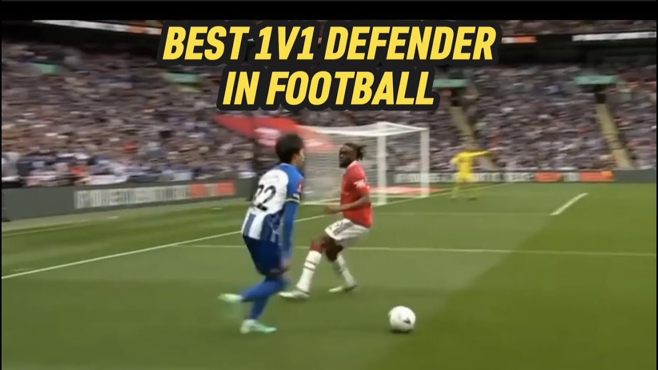 🚨 The BEST 1v1 Defender in the WORLD 🌎 🕸🚨