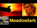 Meadowlark - Stephen Schwartz and Sarah Brightman