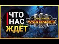 Total War  WARHAMMER 3 - Что это будет? - Разбор трейлера