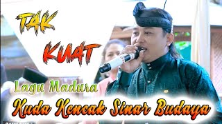 Tak Kuat  Lagu Madura  Cipt Maz Agung Cover By Maz Ega El Habibi  Sinar Budaya rendystudio