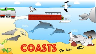 Coastal Habitats for Kids| Facts and Quiz | The seaside