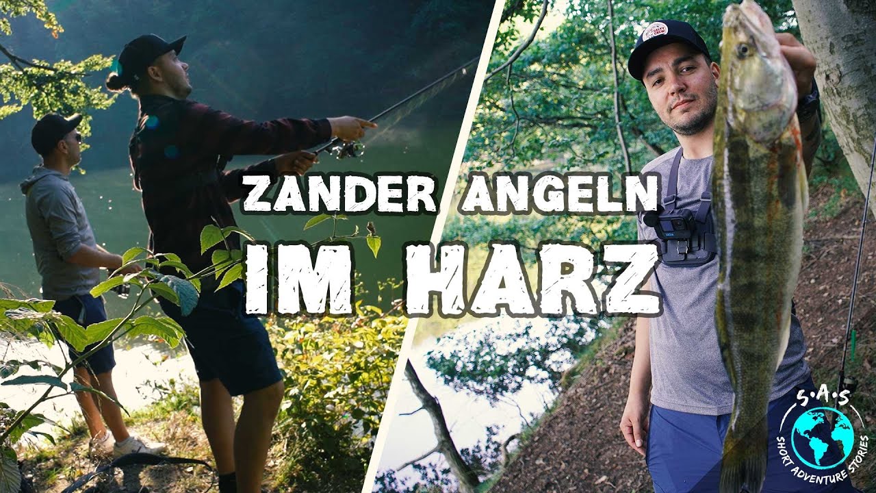 ANGEL VLOG #3 Zander Angeln im Harz + Catch & Cook