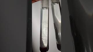 SINGLE DISPLACEMENT REACTION  CuSO4+ Fe powder and CuSO4 + Sn foil #jeeadvanced #cbse2025 #chemistry