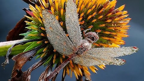 Mike Moats Speaker Spotlight