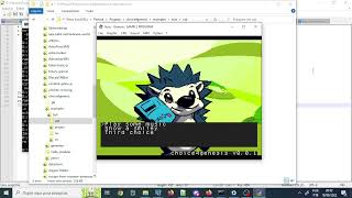 choice4genesis version 0.0.1
