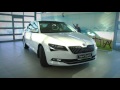 Skoda Superb 2015 - LIVE обзор Александра Михельсона