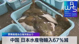 中国 日本水産物輸入67％減　原発処理水の海洋放出で【WBS】（2023年9月18日）