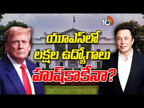 Special Focus on Musk Key Role in Trump Govt | ట్రంప్ సర్కార్‌లో మస్క్‌కు కీలక బాధ్యతలు | 10TV News
