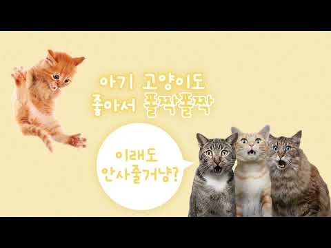 After effects 영상편집: 2번째 습작 릴영상