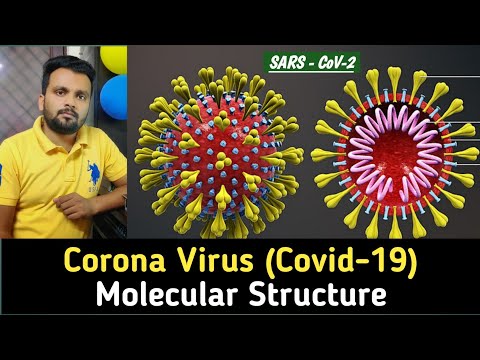Novel Corona Virus (SARS- CoV-2): Structure in Detail!