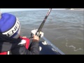 ловим рыбу на северном море
