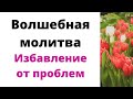 Волшебная молитва - избавление от проблем | Тайна Жрицы |