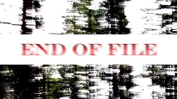 Taese - END OF FILE (Official Music Visualizer)