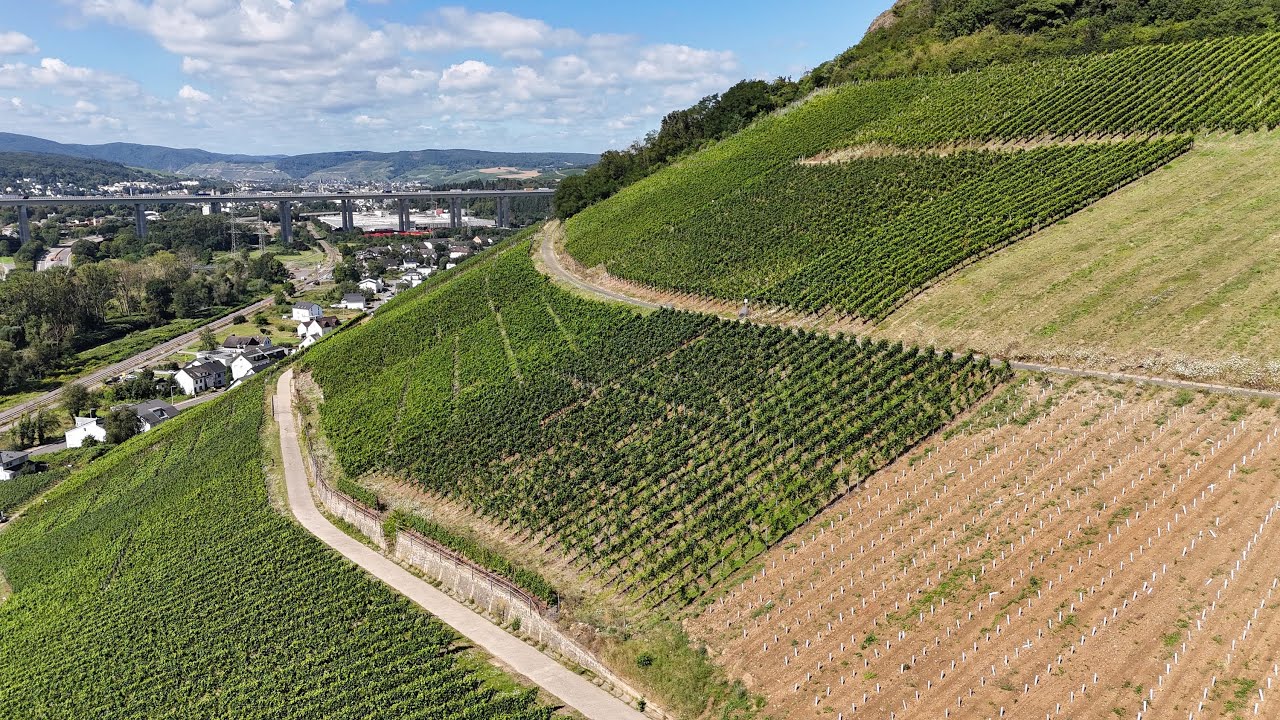 Wandelen in het Ahrdal - Rondom Gimmigen