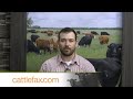 CattleFax Closing Bell: Ground Beef Drives the Market– July 11, 2025