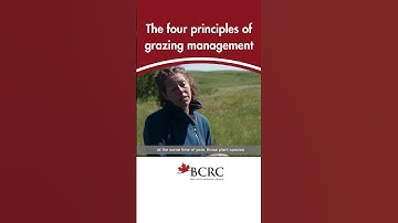 The Four Principles of Grazing Management