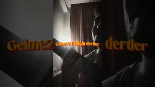 Gelmez Dediğin Dertler, Hep Geldi Başımıza