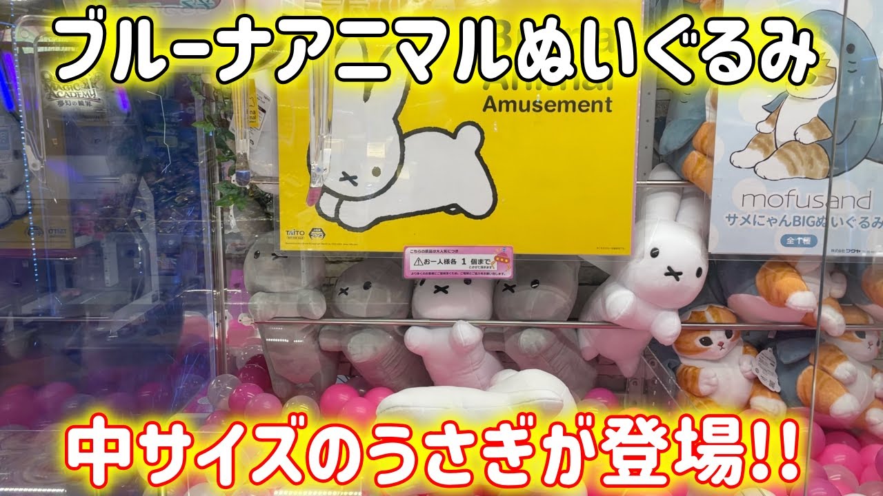 クレーンゲーム】中サイズの新たなうさぎ🐰が登場!?SLブルーナアニマル