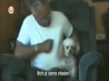 Man Accuses His Dog Of Having Fleas