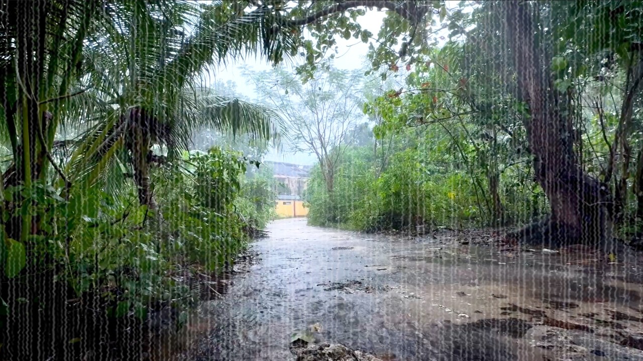 Успокаивающий ASMR-эффект сильного дождя. Ваше идеальное убежище.