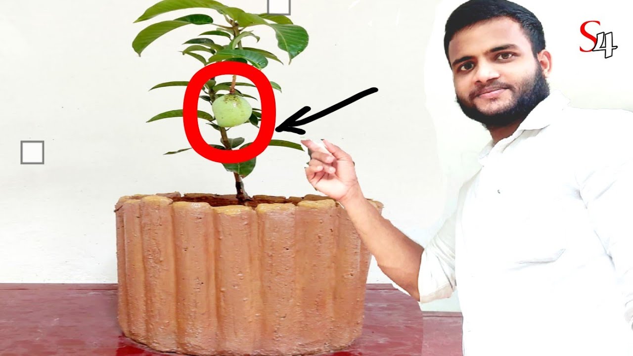 Big cement pot making How to make cement pot at home.ഏറ്റവും വലിയ