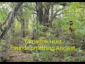 Yamadori expedition, found something Ancient!
