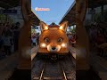 Fox Themed Train 🎀 Would you like to ride? #train #travel #fox  #funny #subwaytrain  #trend  #viral