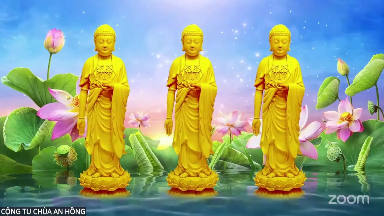 2 TRÍCH CỘNG TU ĐẦU NĂM TẠI CHÙA AN HỒNG -HẢI PHÒNG chiều 1/3/2026