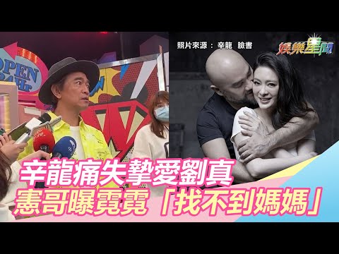 辛龍痛失摯愛劉真　憲哥曝霓霓「找不到媽媽」惹心疼｜娛樂星世界