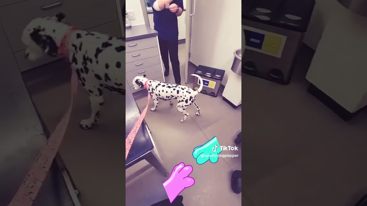 Wish me a speedy recover in the comments,Lv Pepper xoxo