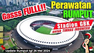 OKE GAS🌿🌿RUMPUT STADION GBK MASIH DALAM PROSES PERAWATAN INTENSIF. SEMOGA CEPAT SEHAT KEMBALI.