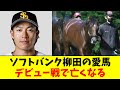 ソフトバンク柳田の愛馬、デビュー戦で亡くなる…