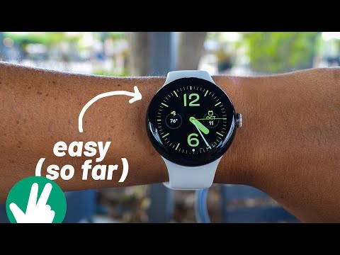Pixel Watch Week