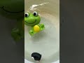 MARINE ANIMAL TOYS FOR TODDLERS AND PRESCHOOLERS| LEARN OCEAN ANIMAL NAMES AND FACTS