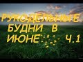 Рукодельные будни в первой части июня 2019 /Вышивка/2 финиша