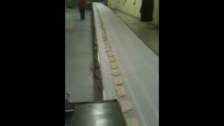 20110425 2 Bread Dividing
