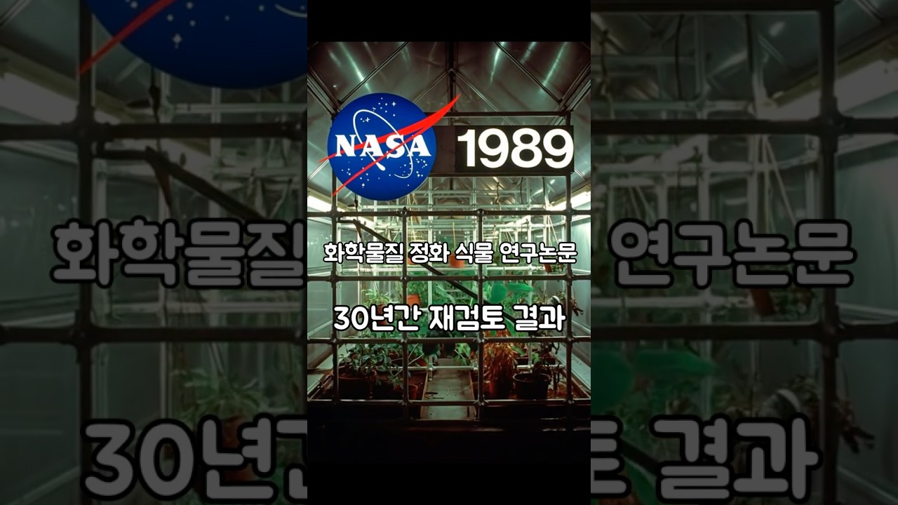 새집증후군 잡는 식물 몇개 필요함??