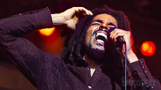 Bob Marley ha delle visioni durante il concerto | Bob Marley - One Love | Clip in Italiano