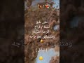 السواق وقف ليشتري عيش من الفرن أنزل ألحق كمان علشان الزحمه بس ده كان في الأول لما ألحق أكل الفول