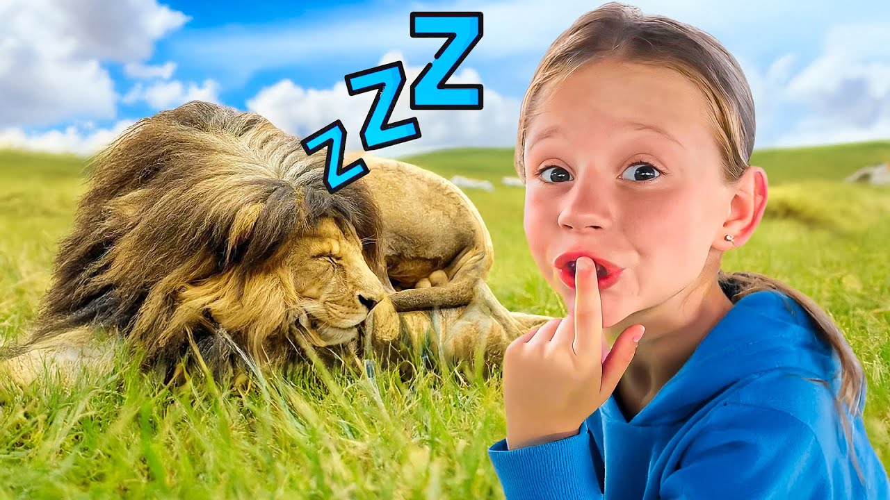 Nastya and the African Safari Trip - Video Compilation