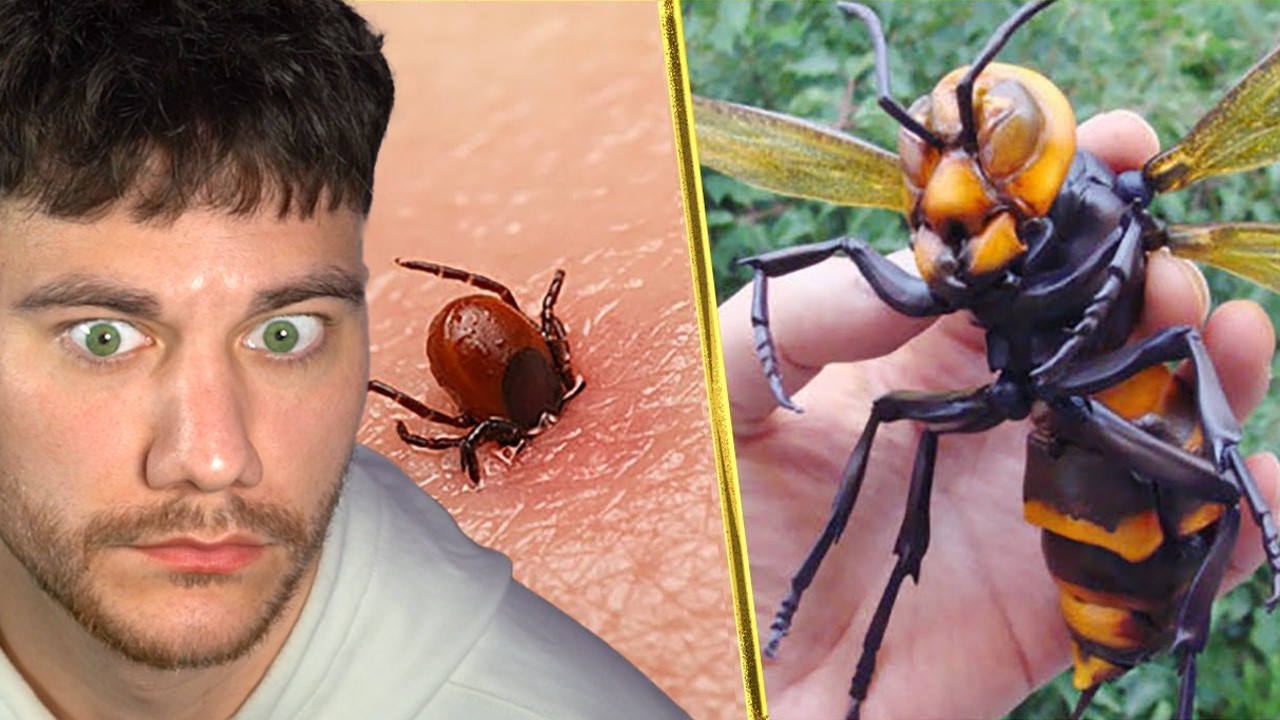 30 NEJVÍCE SMRTELNÉHO HMYZU NA SVĚTĚ!