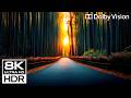 WORLDS MOST REALISTIC 8K HDR 240FPS Video ????️ Dolby Vision ULTRA HD (8K/4K TV TEST)