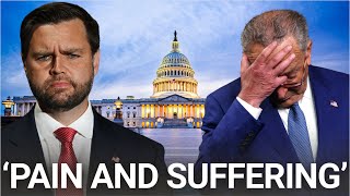 JD Vance tears into Democrats for causing Americans 'pain and suffering' for 'nothing'