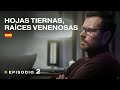 HOJAS TIERNAS, RAÍCES VENENOSAS. Novela policíaca, mini-serie. Episodio completo #2 de 4 🎥 RusFilmES