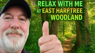 The Mendip Hills, Relaxing at East Harptree Woodland