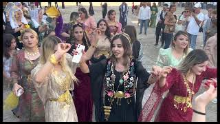 koma haco gul bari