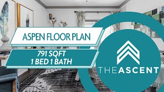 1x1 791 sq ft Aspen Tour at The Ascent Plainfield Apartments
