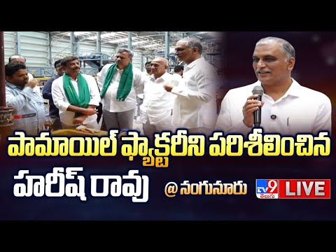 Harish Rao LIVE | Inspects Palm Oil Factory At Narmetta, Nanganur - TV9 - TV9